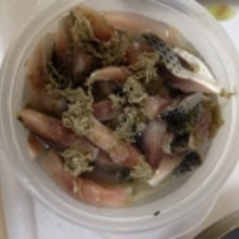 コノシロの昆布締め レシピ 作り方 By とっこ 楽天レシピ コノシロの昆布締め レシピ 作り方 By とっこ 楽天レシピ